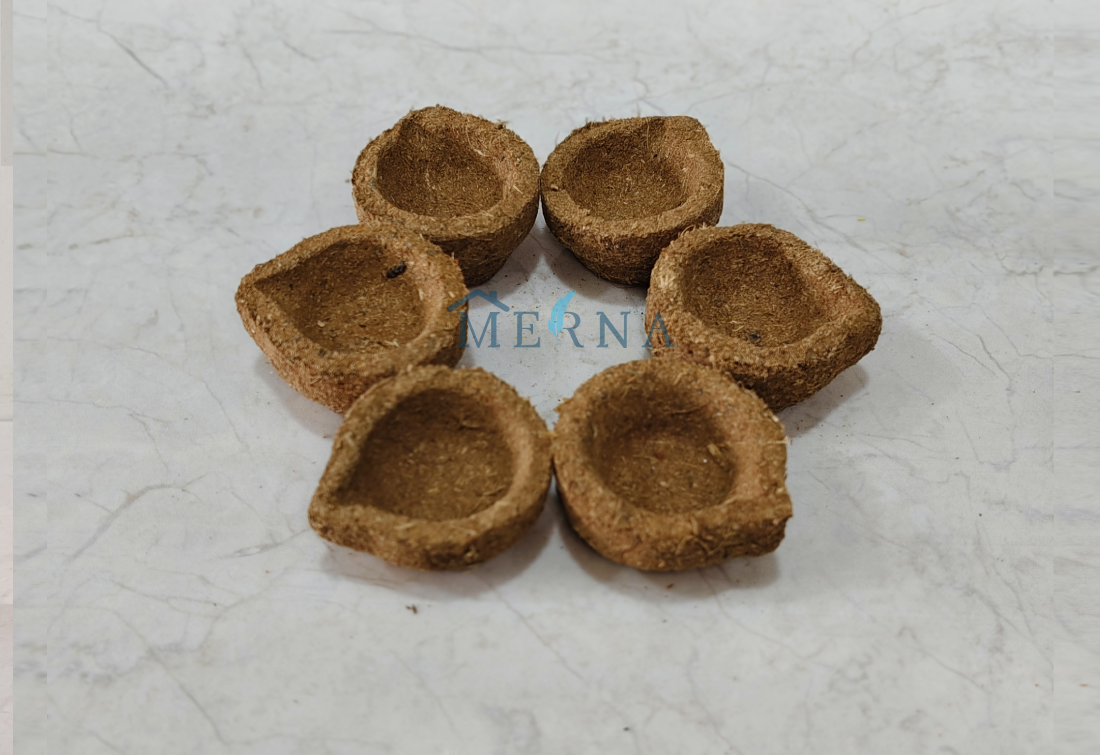 Panchagavya vilakku  (6 pieces)