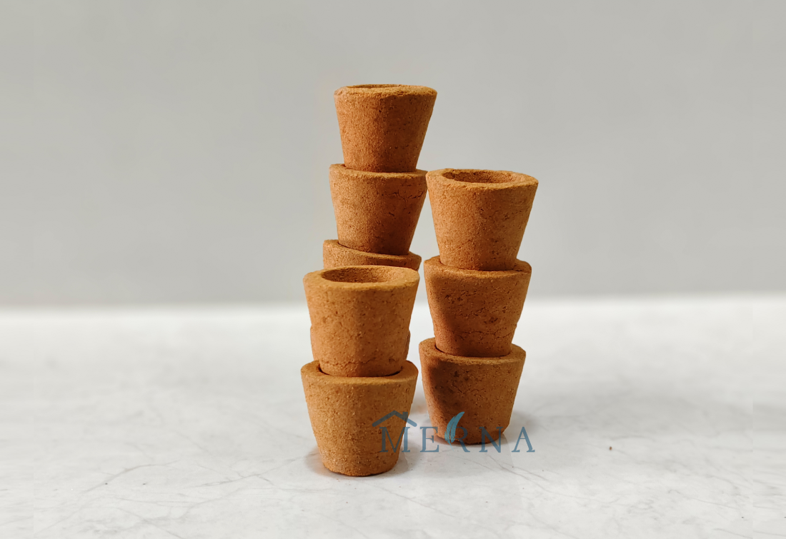 Thasangam cup  samburani
